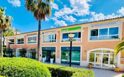 Auxiliar de clínica, Higienista dental, Recepcionista, Odontólogos/as