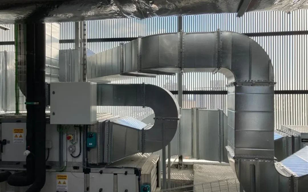 whatsapp image 2021 03 30 at 09.03.01 (convert.io)