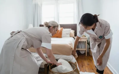 Search Waitress of Floors season 2026