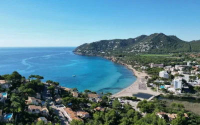 Se busca limpiador/a para turno de tarde.