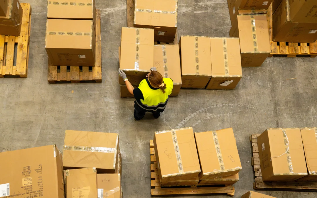 clasificacion paqueteria