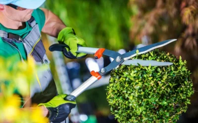 Se busca jardinero para incorporación inmediata.