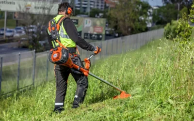 Se busca persona para trabajar en jardinería en Finca S’Avellet.
