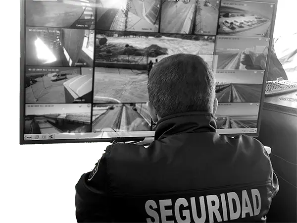 auxiliar de seguridad