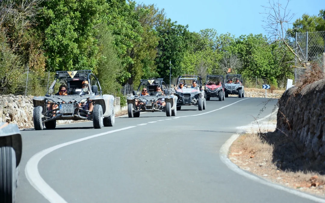 Guía para excursiones en buggies – Porto Cristo