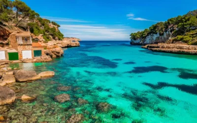 Se necesita vendedor/a de excursiones en El Arenal