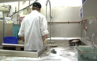 Se necesita friegaplatos / apoyo de cocina en Sóller