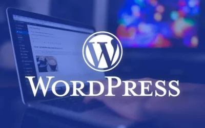 Se busca especialista en WordPress en Palma