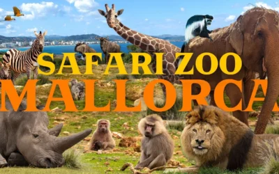 Se necesita personal de tienda en Safari Mallorca