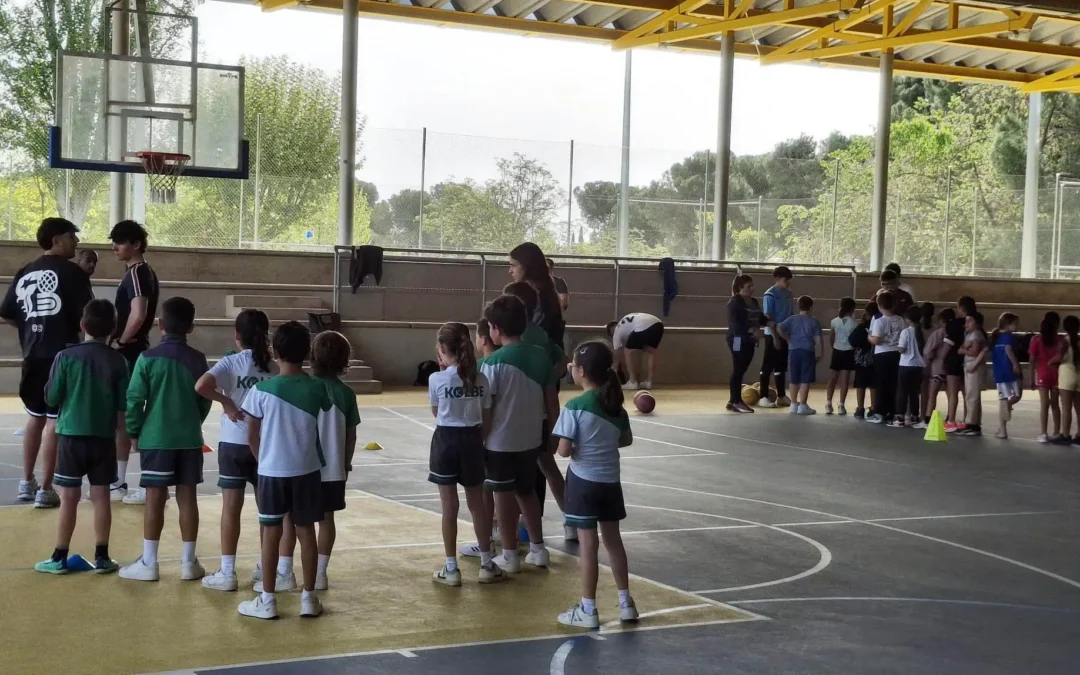 basket niños primaria