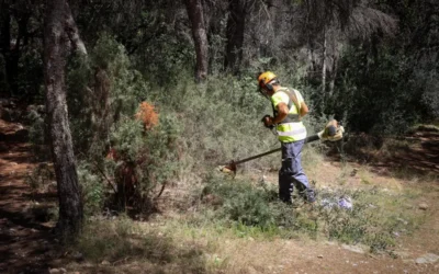 Se busca especialista en mantenimiento forestal y agrícola