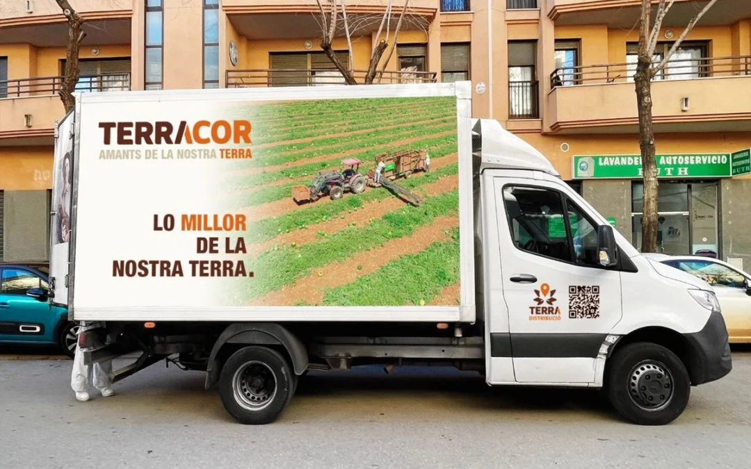 chofer terracor