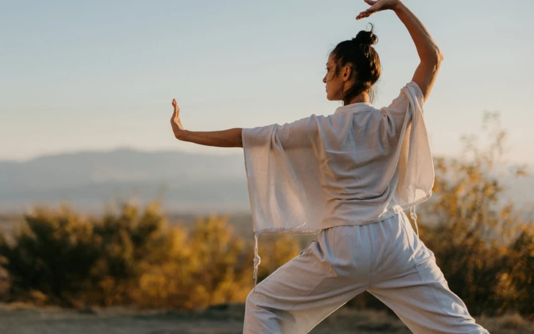 monitor tai chi