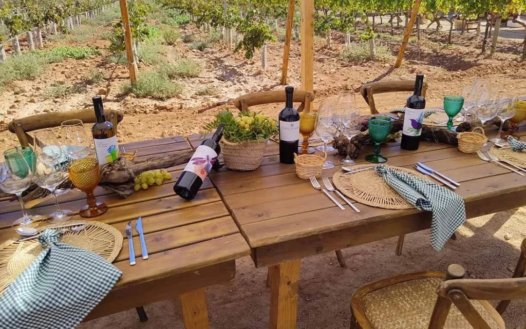 guia bodegas bordoy