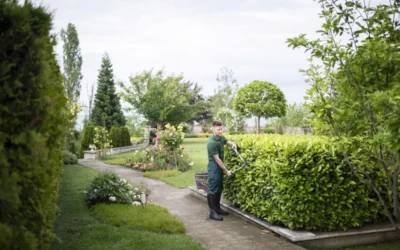Se busca jefe/a de jardinería para fincas privadas de lujo
