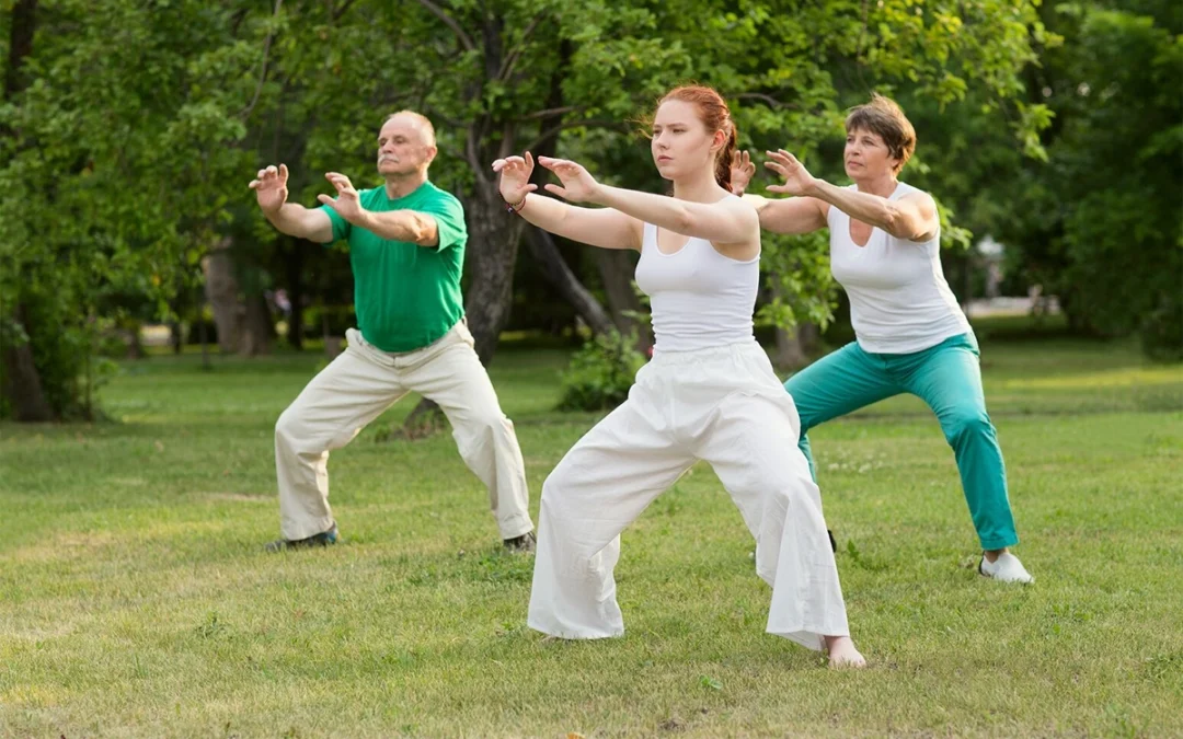 monitor a tai chi calvia