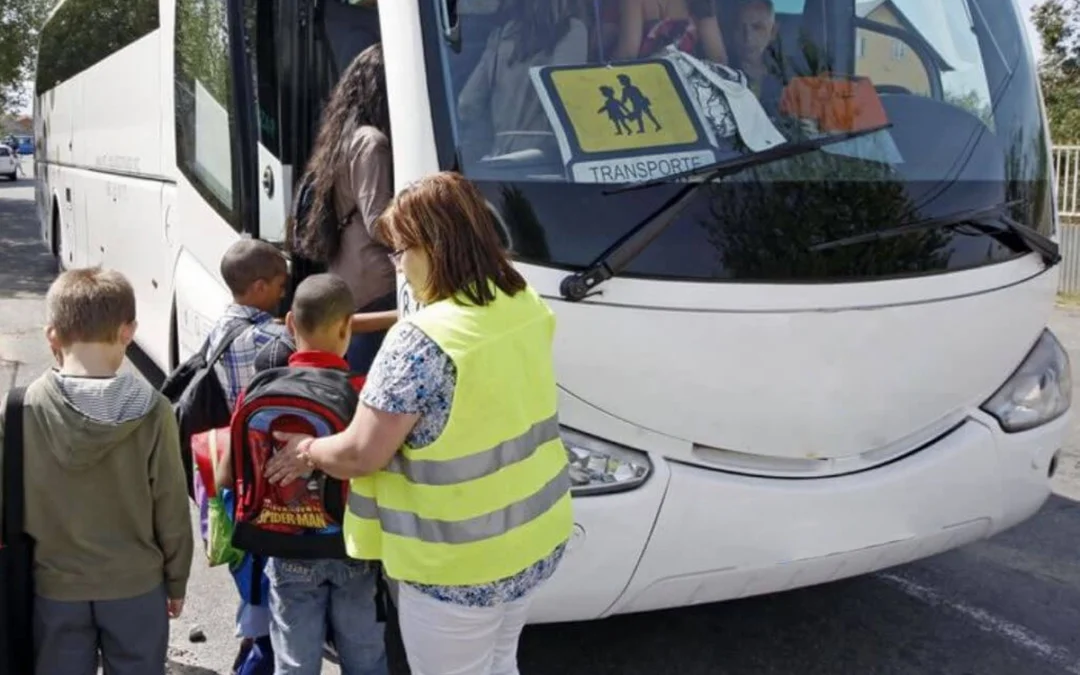 acompañante escolar