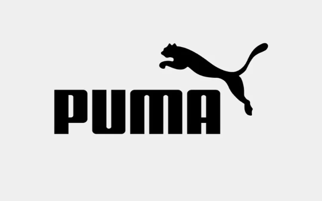 mozo a almacen puma