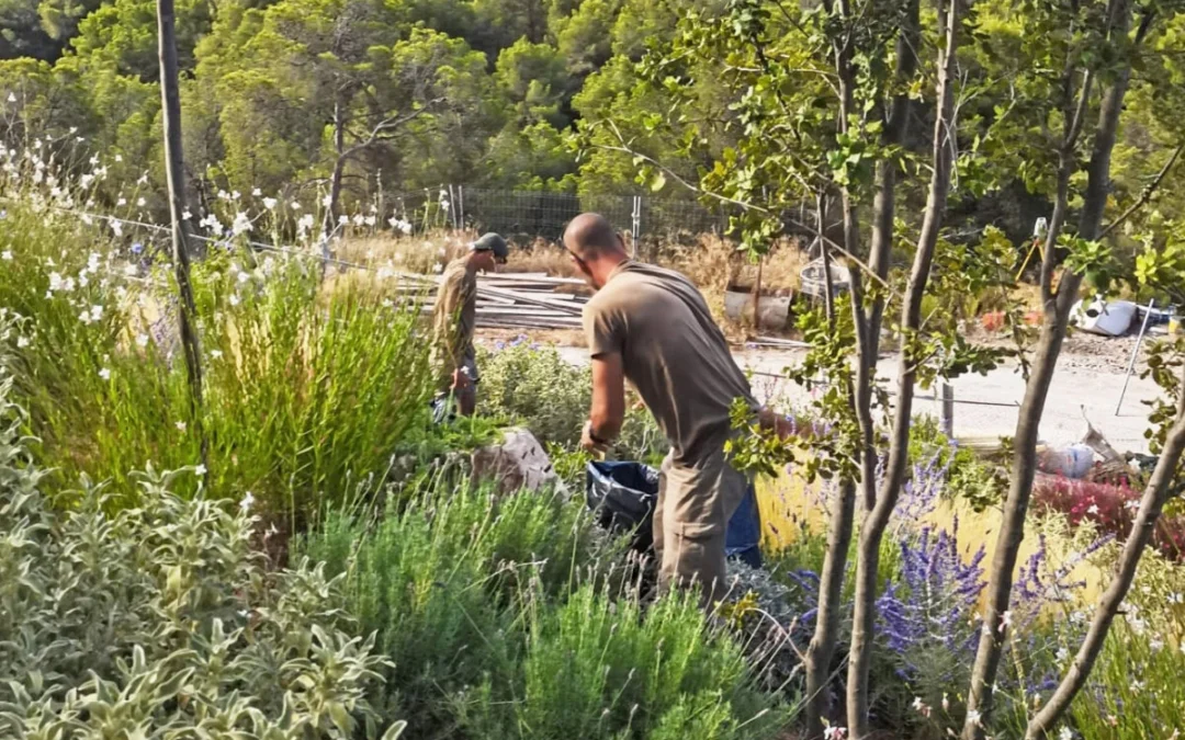 Se buscan peones y jardineros