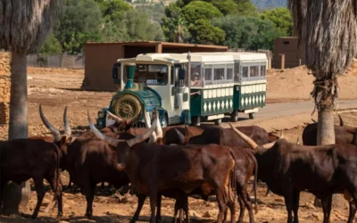Se busca cuidador/a de animales en Safari Mallorca