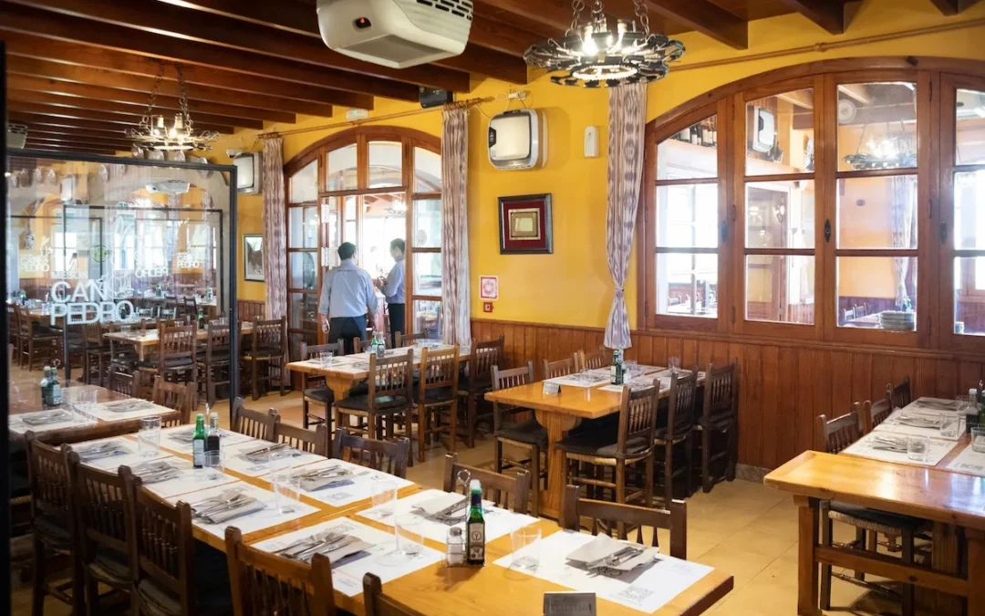 meson can pedro palma