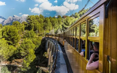 Se busca personal de at. al cliente y venta de excursiones en Pto. de Alcúdia