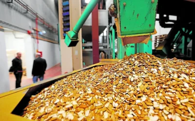 Se busca mozo/a especializado/a de fábrica en Sineu